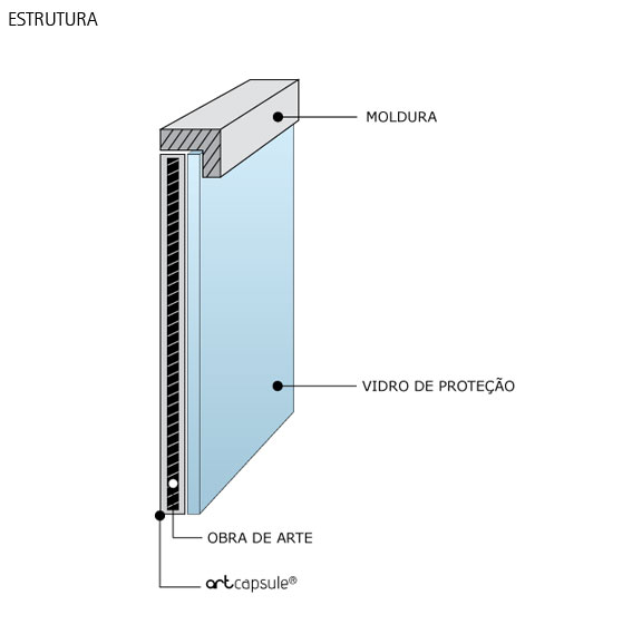 Estrutura da artcapsule